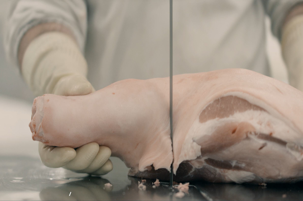 Lebensmittel Bandsägeblatt sägt Knochen und Fleisch